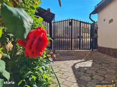 Bartolomeu Nord, Brasov