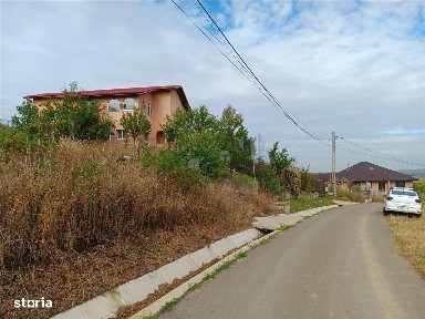 Tutora, Iasi