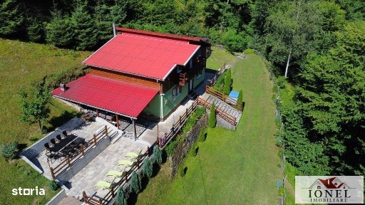 Casa de vanzare in Pianu - Strungari