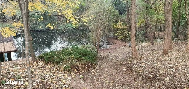 Strada Coada Lacului, Snagov, Ilfov