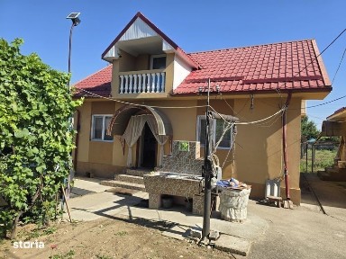 2 case in curte Dabuleni Dolj