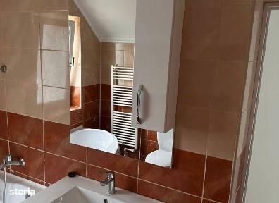 Strada Prof. I. P. Culianu, Valea Lupului, Iasi