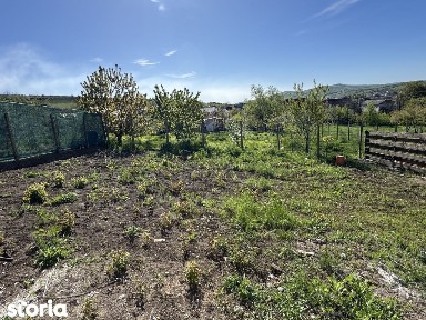 475 mp teren! 2 BAI! CANALIZARE!Incalz in pard! Casa 4 camere, Tomesti