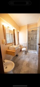 Timisoara, Protopop George Dragomir 9