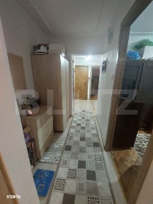 Stadion, Zalau, Salaj