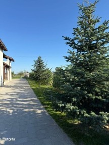 Ruseni, Paulesti, Satu Mare