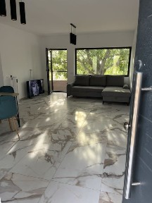 Vand casa noua Carcea