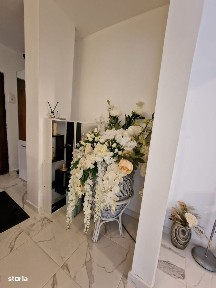 Strada Cernauti, Targoviste, Dambovita