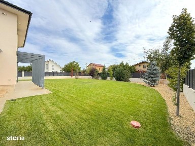 Strada Fluturilor, Berceni, Ilfov