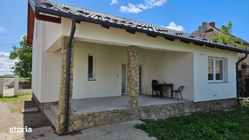 Decebal, Vetis, Satu Mare