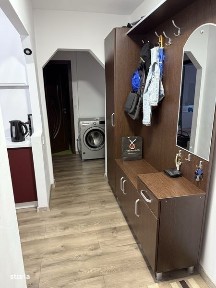 Subcentral, Satu Mare