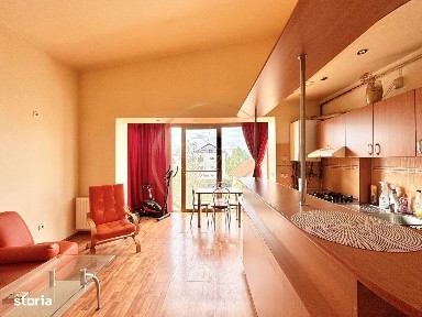 Zona Timisoara Sud, Timisoara, Timis