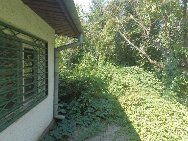 De vanzare teren, casa si garaj in Ciofliceni, langa lacul Snagov