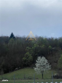 Manastirea Casin, Bacau