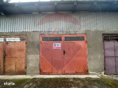 Piata 1 Decembrie 1918, Sighetu Marmatiei, Maramures