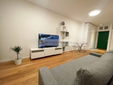 Apartament 2 camere Aviatiei Park, Herastrau