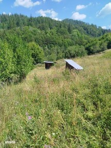 Vand Casa si Teren Vadu Oii, Gura Teghii