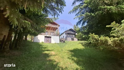 Strada Principala, Magura, Moieciu, Brasov