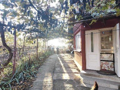 Bihor, Saldabagiu de Munte