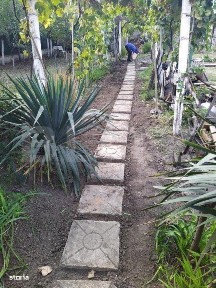 Casa individuala cu 3 camere, 150 mp, zona Elisabetin