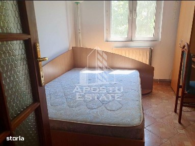 Mircea Cel Batran, Timisoara, Timis