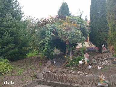 Julita, Varadia De Mures, Arad