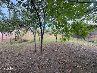 Strada Moise Dobosan, Ronat, Timisoara, Timis