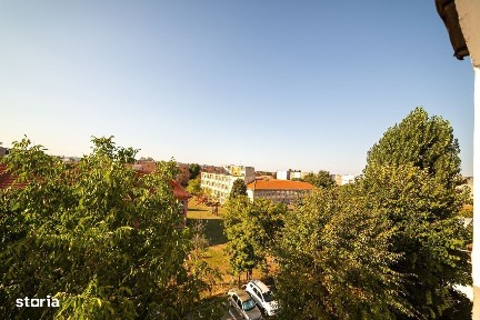 Calea Aurel Vlaicu, Ion G. Duca, Arad