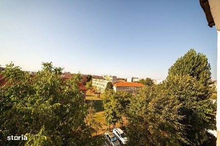 Calea Aurel Vlaicu, Ion G. Duca, Arad