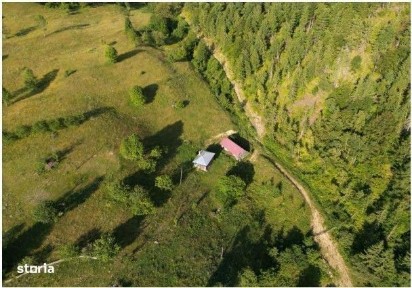Teren extravilan si constructii Lesu, jud Bistrita-Nasaud - 3076236