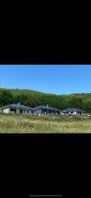 Case de vânzare - case individuale