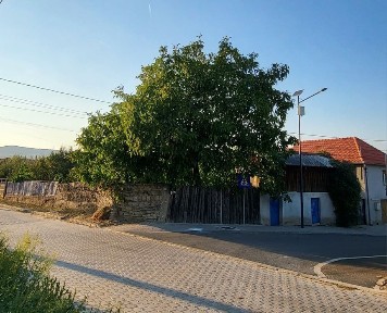 Casă în cartier Cindeni