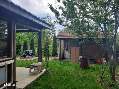 Bercu Rosu, Satu Mare