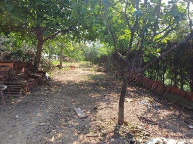 Vând teren cu casa bătrânească (cărămidă)