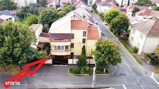 Vila spatioasa cu 7 camere in Centru | Familie, investitie, business