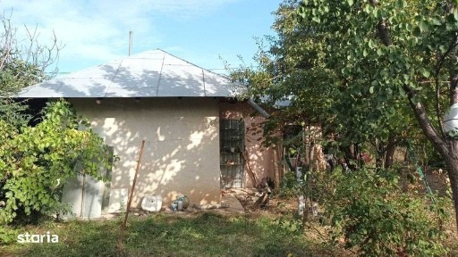 Vand casa cu teren 800 mp statiunea Amara