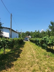 Casa de vacanta in zona turistica