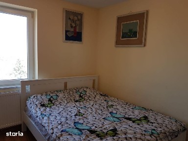 Centru Nou, Satu Mare