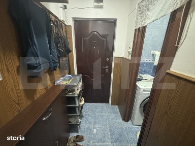 Solidaritatii, Satu Mare