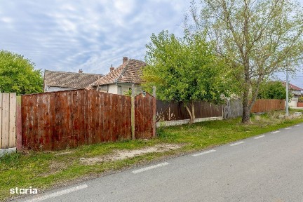 Strada Crangului, Pancota, Arad