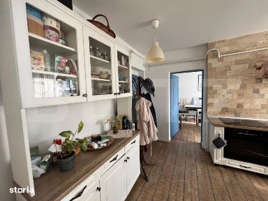 Subcentral, Satu Mare