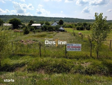 Casa 170 mp D+P+M cu 2400 mp teren la asfalt, IAZ in curte, loc. Osoi