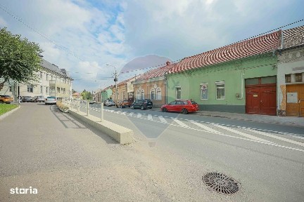 Strada Louis Pasteur, Nicolae Iorga, Oradea, Bihor