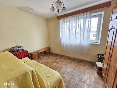 Strada Narciselor, Republicii, Bacau