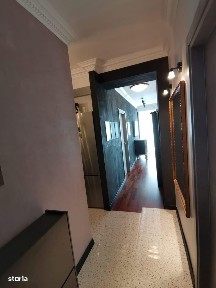 Delfinariu, Constanta