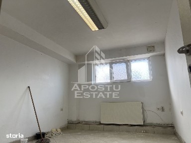 Cetate, Timisoara, Timis