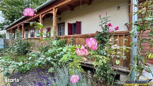 Film&Tur 3D!O casa armonioasa, cu doua intrari,foisor,locuri parcare,S