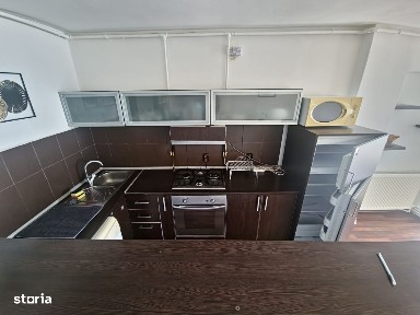 Delfinariu, Constanta