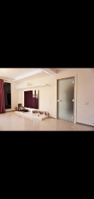 Bucuresti - Ilfov, Domnesti