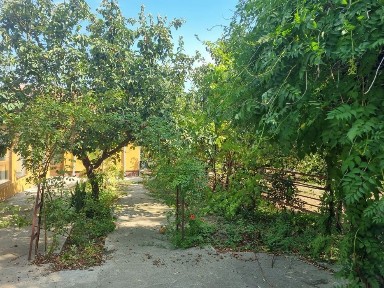 Vand Casa in Corabia - strada Mihail Kogalniceanu